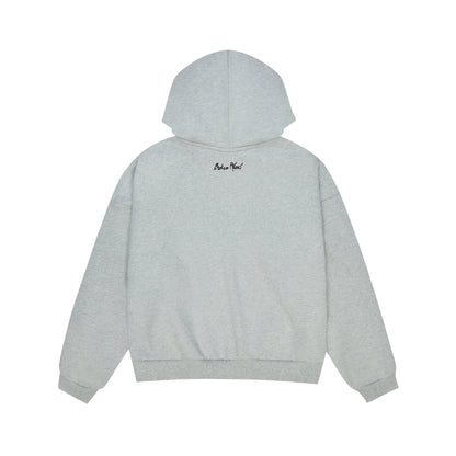 BROKEN PLANET HEATHER GREY SUN ZIP UP HOODIE