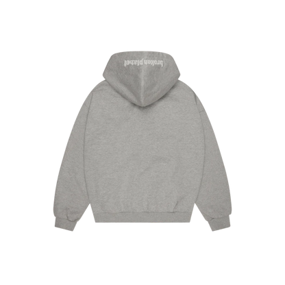 BROKEN PLANET HEATHER GREY ZIP UP HOODIE